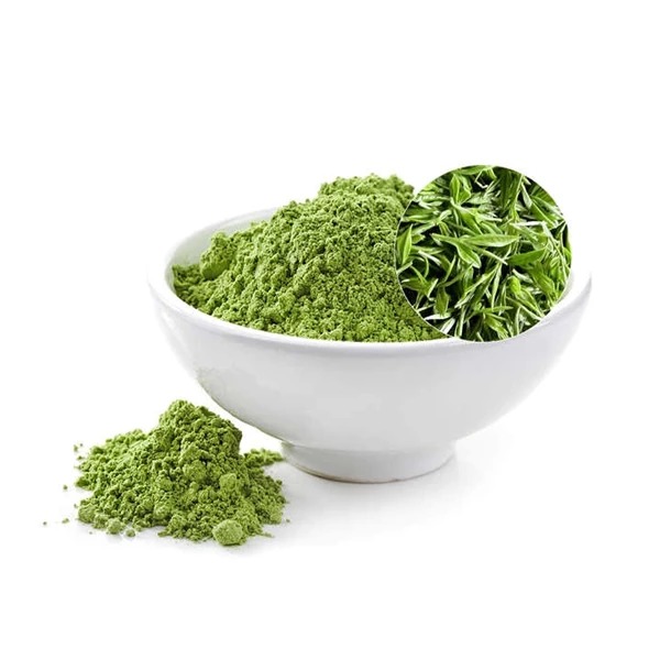 Green Tea Extract