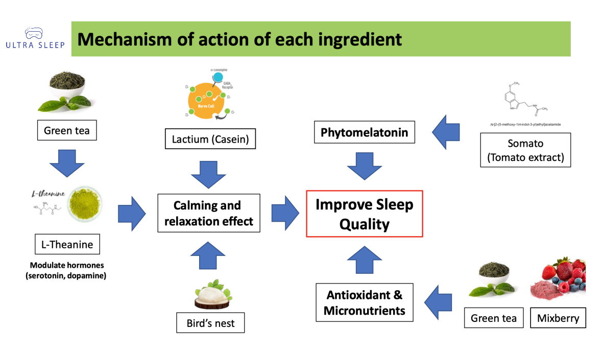 Mechanism of action — how each ingredient contributes to improved sleep quality